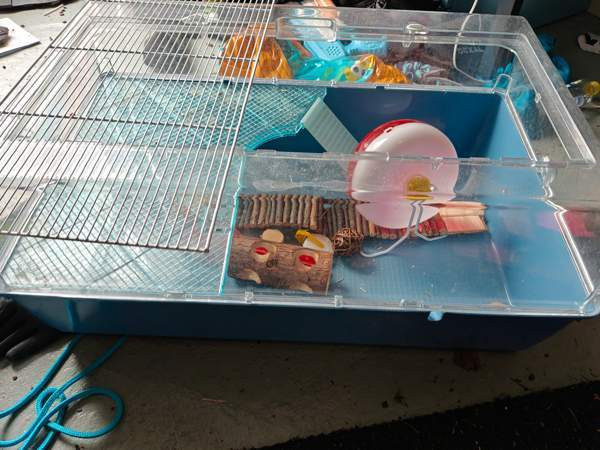 Hamsterin häkki tarvikkeineen Karkkila - valokuva 2