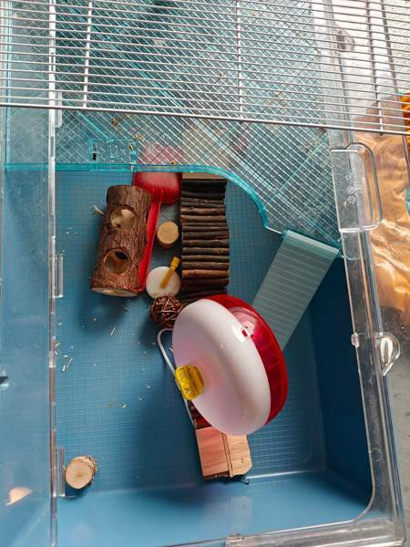 Hamsterin häkki tarvikkeineen Karkkila - valokuva 1