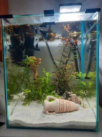 Nanoakvaario Aquael 30l Shrimp set Эспоо - изображение 5