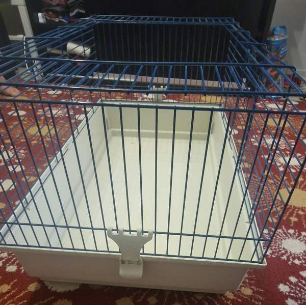 Marsut häkki ja avattu Omenaheinä Pomppis 500 g Helsinki – foto 4