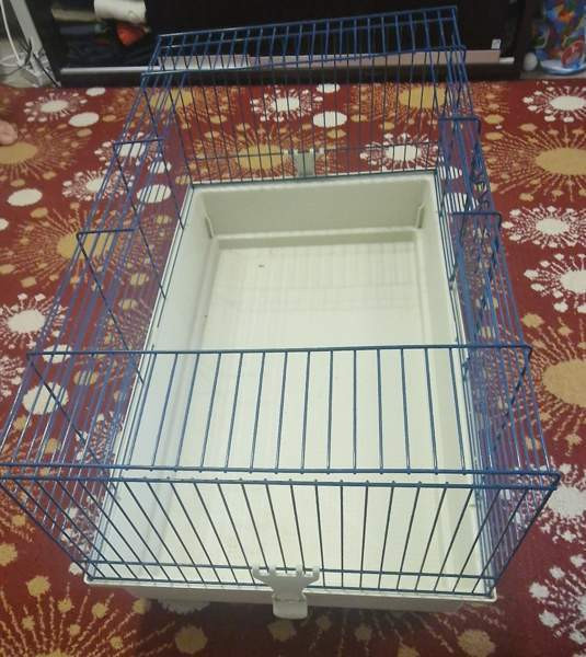 Marsut häkki ja avattu Omenaheinä Pomppis 500 g Helsinki - valokuva 1