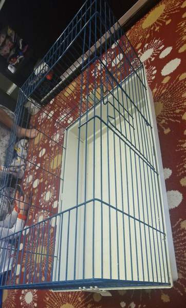 Marsut häkki ja avattu Omenaheinä Pomppis 500 g Helsinki - valokuva 3