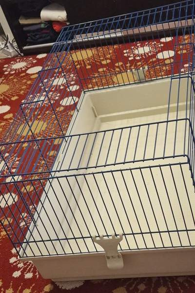 Marsut häkki ja avattu Omenaheinä Pomppis 500 g Helsinki - valokuva 2