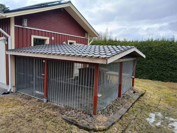 Jämpti Koiratarha Isokyrö - valokuva 1