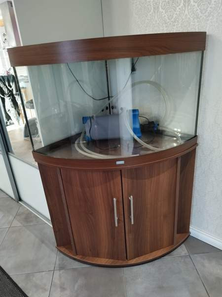 Kulma akvaario Kauhava - изображение 3