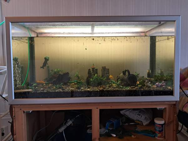 Akvaariopaketti 250L Vihti - valokuva 6