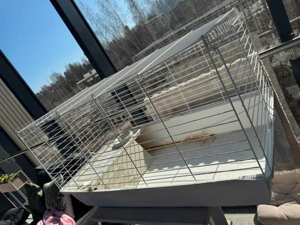 Jyrsijän häkki Espoo - valokuva 1