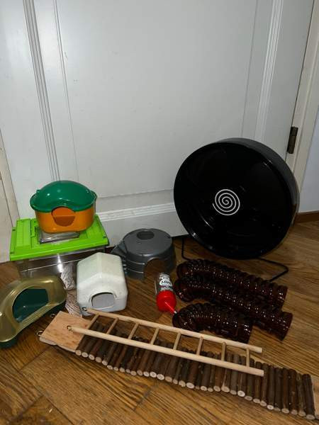 Jyrsijän häkki tarvikkeineen Kontiolahti – foto 2