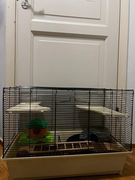 Jyrsijän häkki tarvikkeineen Kontiolahti – foto 1