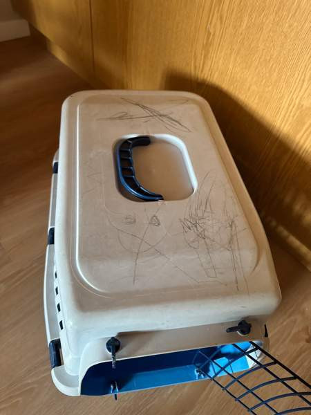 Kulketushäkki Kuopio - valokuva 2