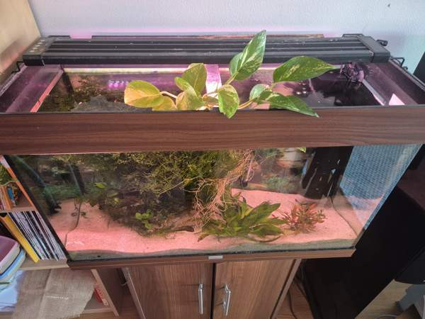 Juwel akvaario 120l Vantaa – foto 2