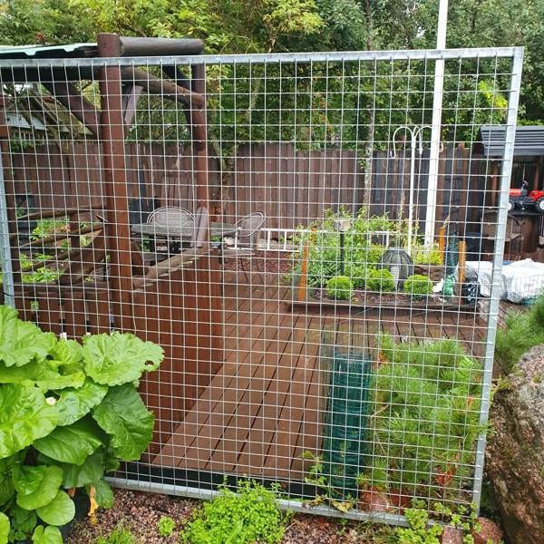 Koiratarha Kotka - valokuva 1