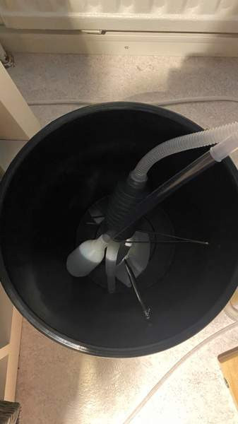 Akvaario ja kala Turku – foto 5