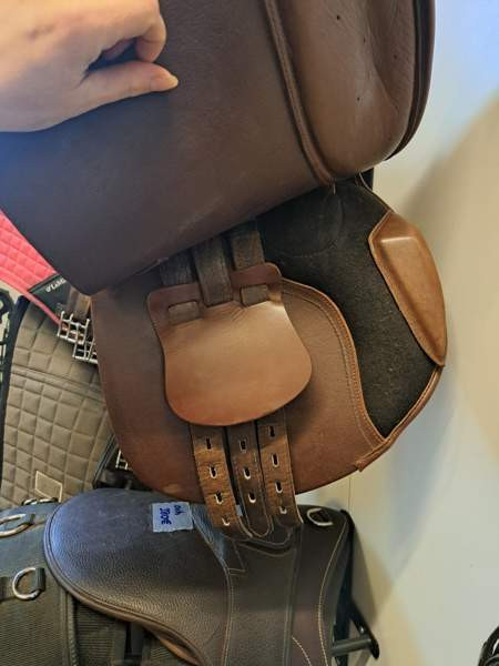 Equitare estesatula Hämeenkyrö – foto 4