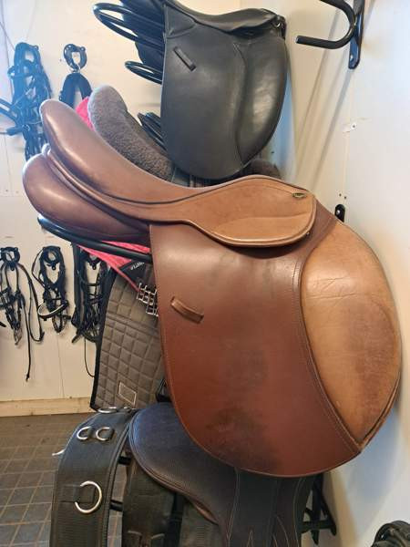 Equitare estesatula Hämeenkyrö – foto 1