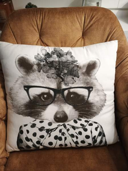 Söpö sohvatyyny kettu (pesukarhu koristetyyny ) Vantaa - valokuva 2