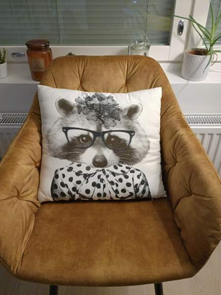 Söpö sohvatyyny kettu (pesukarhu koristetyyny ) Vantaa - valokuva 1