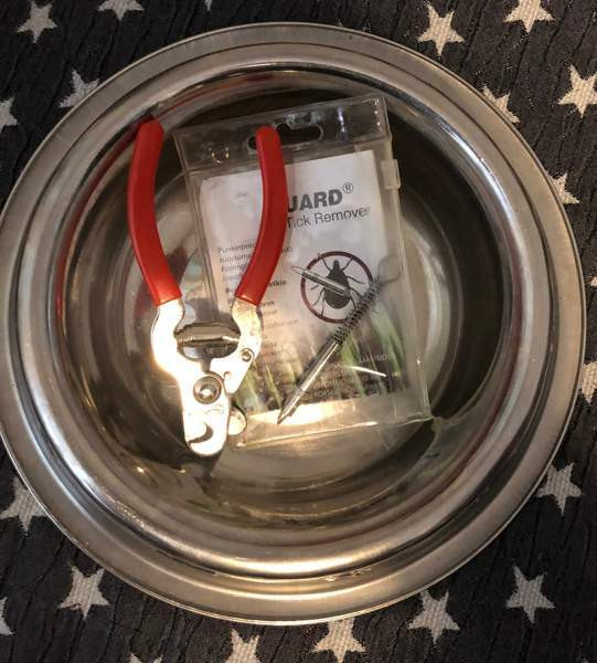 Lemmikkitarvikkeet Турку - изображение 2