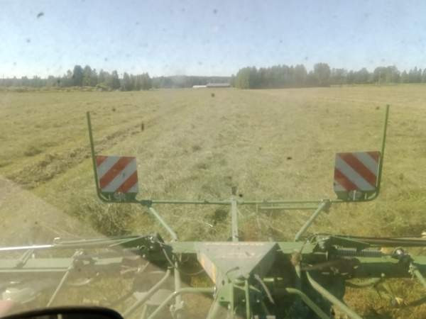 Olisi vielä vähän kuivaa heinää tarjolla Muhos - изображение 5