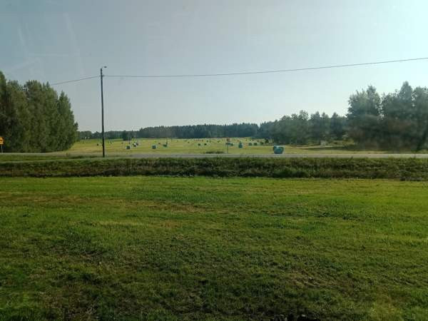 Olisi vielä vähän kuivaa heinää tarjolla Muhos - изображение 6