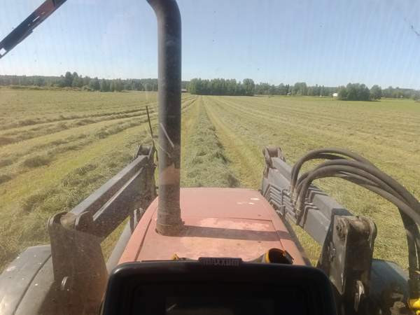 Olisi vielä vähän kuivaa heinää tarjolla Muhos - изображение 3