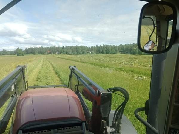 Olisi vielä vähän kuivaa heinää tarjolla Muhos - изображение 2