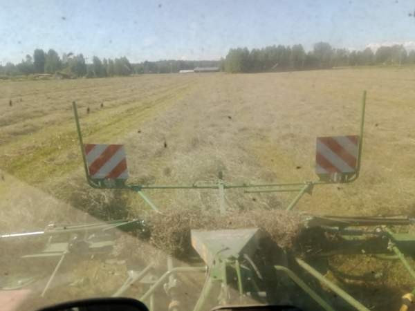 Olisi vielä vähän kuivaa heinää tarjolla Muhos - изображение 4