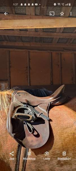 17" koulusatulat Kalajoki – foto 2