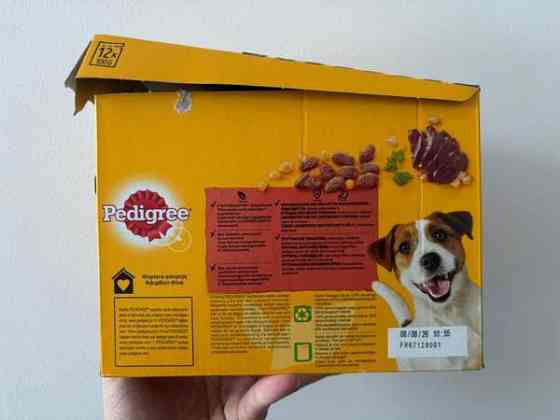 Pedigree annospussit hyytelössä Tampere