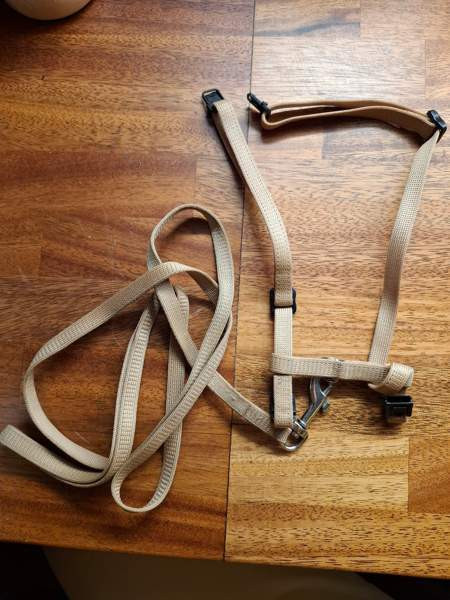 Kissan valjaat ja hihna Lempäälä - valokuva 1