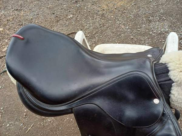 Equipe Performance estepenkki Kiuruvesi - valokuva 3