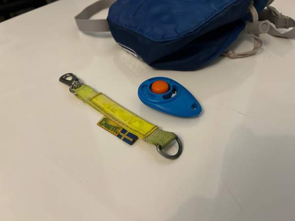 Koiran koulutustarvikkeita ja heijastin Kirkkonummi – foto 1