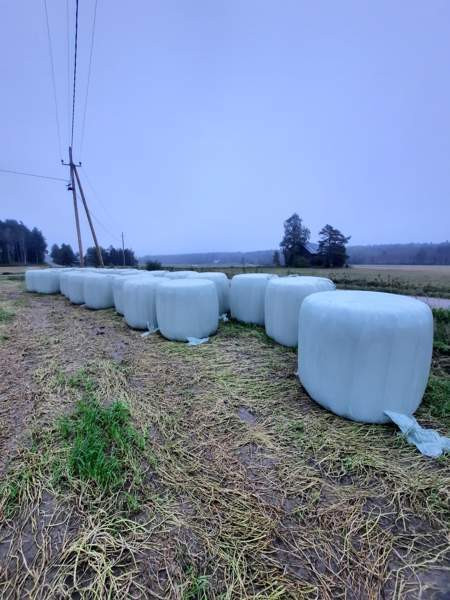 Apila paaleja Salo - valokuva 1