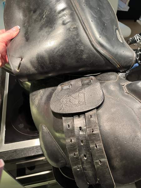 Appaloosa Golden Star estesatula Эспоо - изображение 7