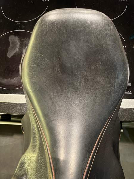 Appaloosa Golden Star estesatula Эспоо - изображение 8