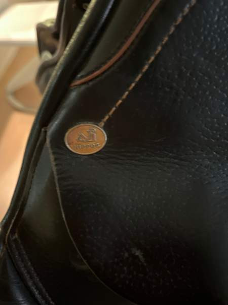 Appaloosa Golden Star estesatula Эспоо - изображение 4