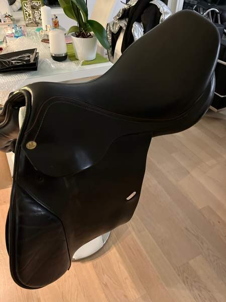 Appaloosa Golden Star estesatula Эспоо - изображение 1