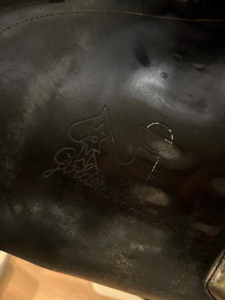 Appaloosa Golden Star estesatula Эспоо - изображение 5