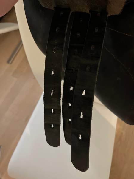 Appaloosa Golden Star estesatula Эспоо - изображение 3