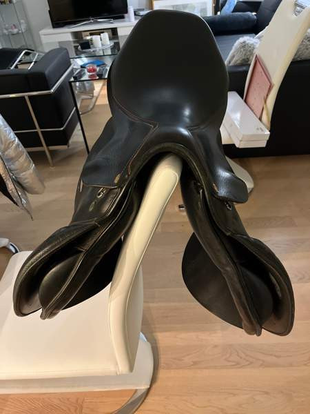 Appaloosa Golden Star estesatula Эспоо - изображение 2