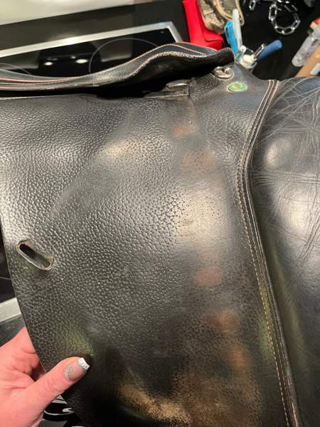 Appaloosa Golden Star estesatula Эспоо - изображение 6