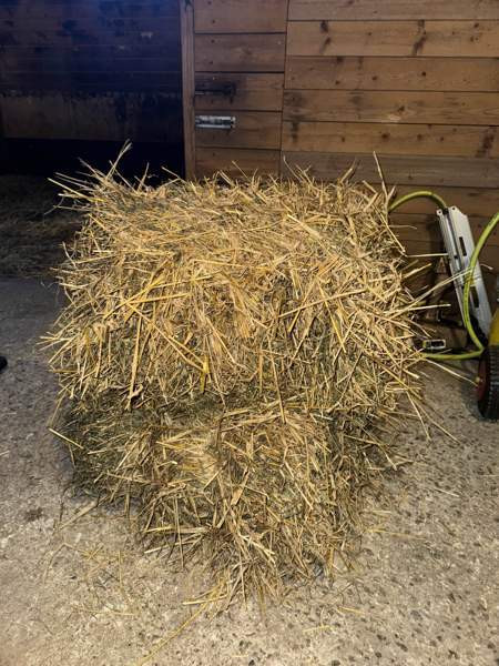 Olkipaali Ylivieska - photo 1