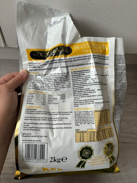 Golden eagle puppy Тампере - изображение 2