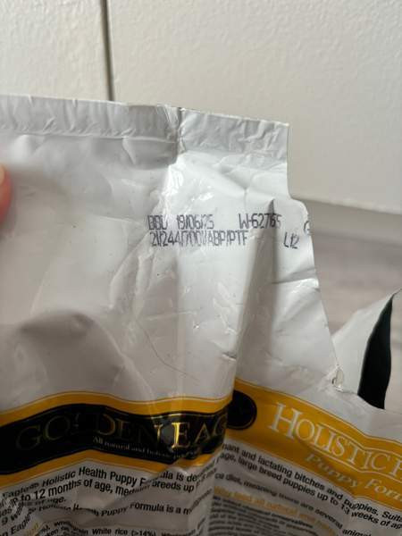 Golden eagle puppy Тампере - изображение 3