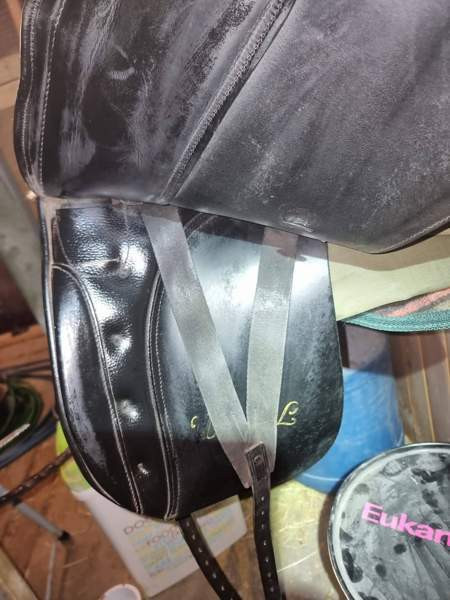 Kieffer Wien DL koulusatula Turku - valokuva 4