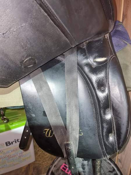 Kieffer Wien DL koulusatula Turku - valokuva 2