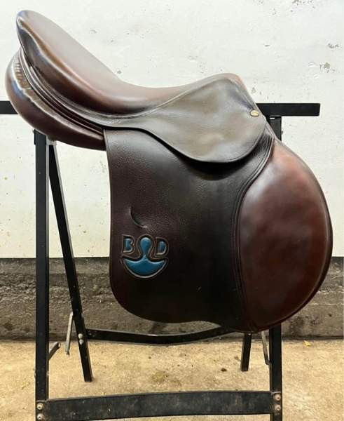 Bruno Delgrande estesatula Vantaa - valokuva 1