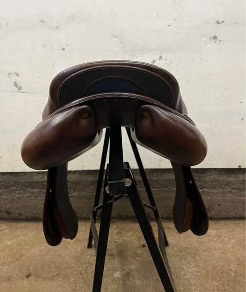 Bruno Delgrande estesatula Vantaa - valokuva 4