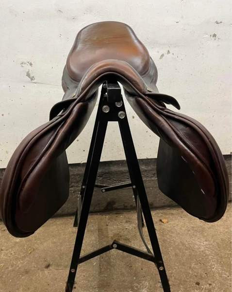 Bruno Delgrande estesatula Vantaa - valokuva 3