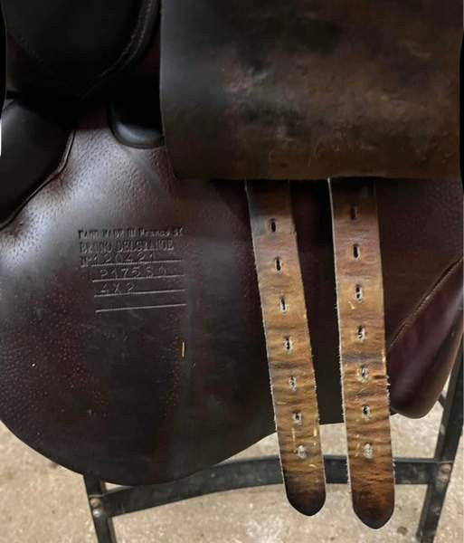 Bruno Delgrande estesatula Vantaa - valokuva 5